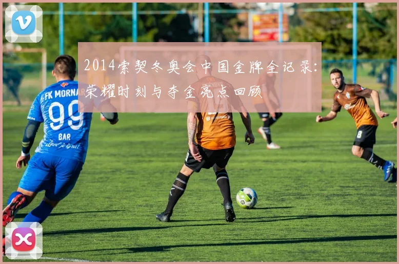 2014索契冬奥会中国金牌全记录：荣耀时刻与夺金亮点回顾