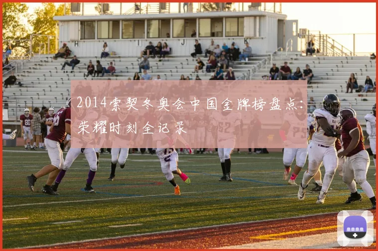 2014索契冬奥会中国金牌榜盘点：荣耀时刻全记录