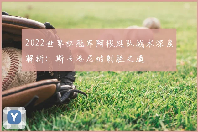 2022世界杯冠军阿根廷队战术深度解析:斯卡洛尼的制胜之道