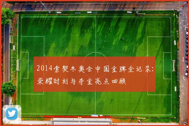 2014索契冬奥会中国金牌全记录：荣耀时刻与夺金亮点回顾